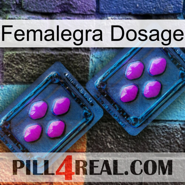 Femalegra Dosage 03.jpg